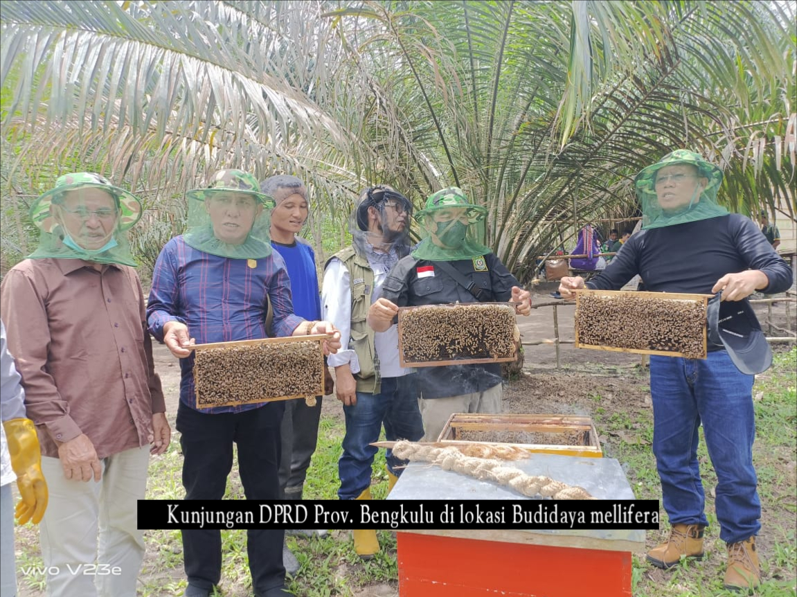 Kunjungan DPRD Provinsi Bengkulu di lokasi Budidaya Lebah Mellifera